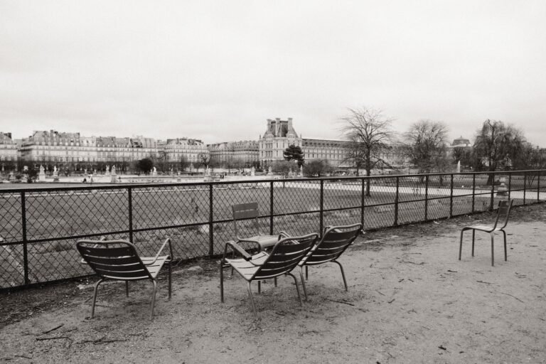 allée calme du jardin des Tuileries à Paris