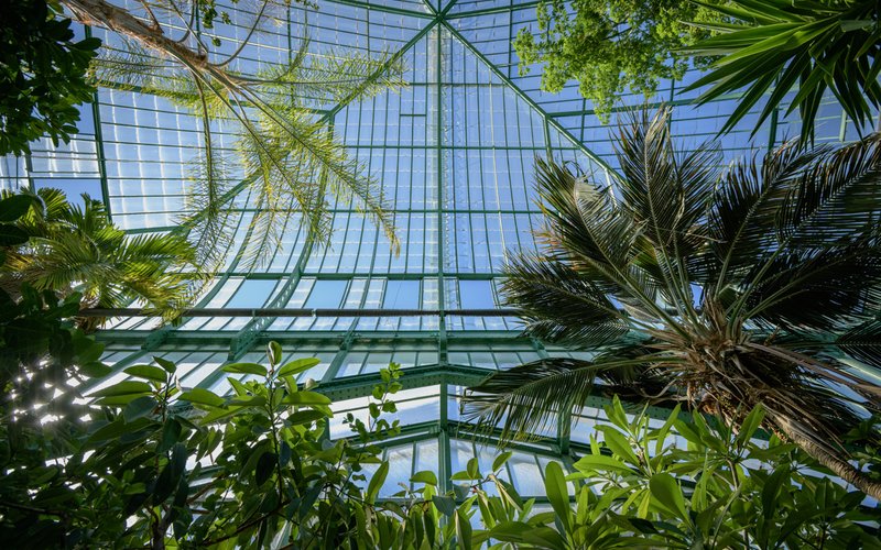 Grande serre du palmarium du jardin des Serres d'Auteuil