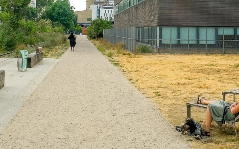 Rails et végétation de la Petite Ceinture du 13e, promenade ouverte au public