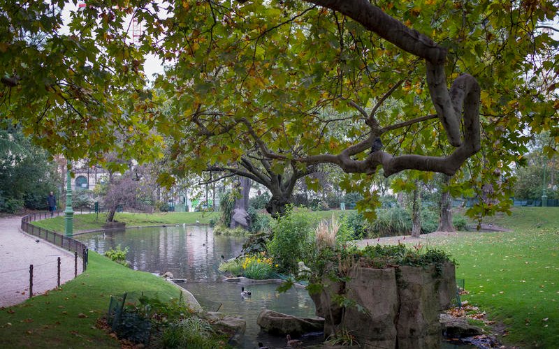Rivière artificielle et arbres du square des Batignolles