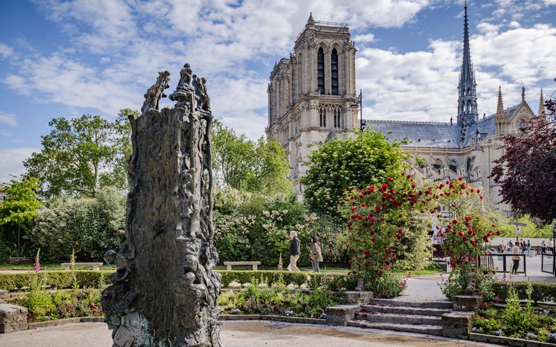 Pelouses et arbres du square René Viviani, face à Notre-Dame de Paris